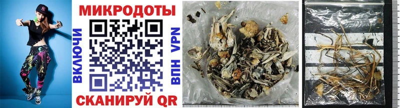 Галлюциногенные грибы Psilocybe  Тюкалинск 